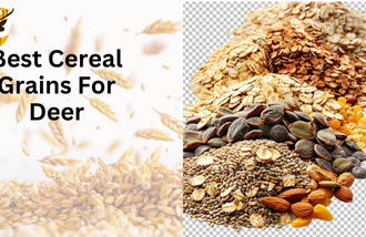 Best cereal grains for deer