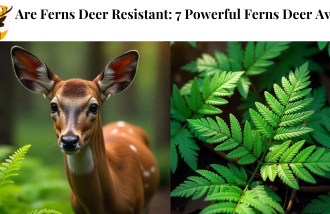Are Ferns Deer Resistant
