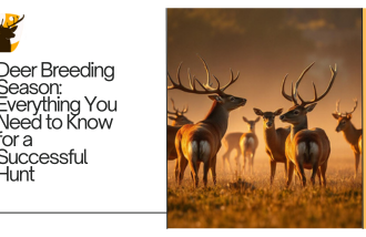 deer breeding season