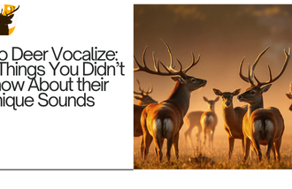 Do Deer Vocalize