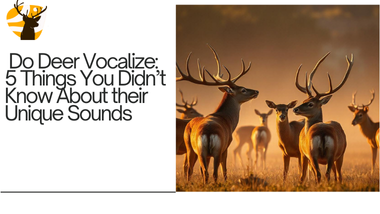 Do Deer Vocalize