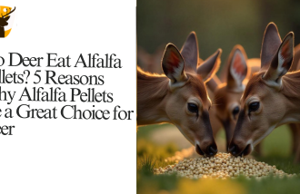 Do Deer Eat Alfalfa Pellets