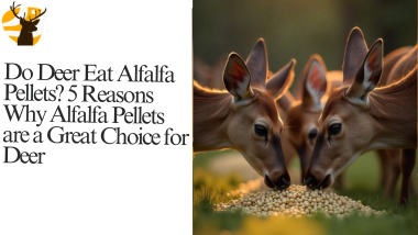 Do Deer Eat Alfalfa Pellets