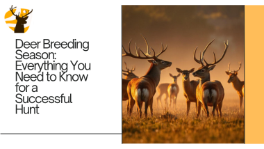 deer breeding season