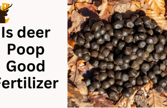 Is Deer Poop Good Fertilizer