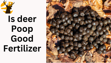 Is Deer Poop Good Fertilizer