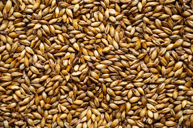 Barley - Bes cereal grain for deer